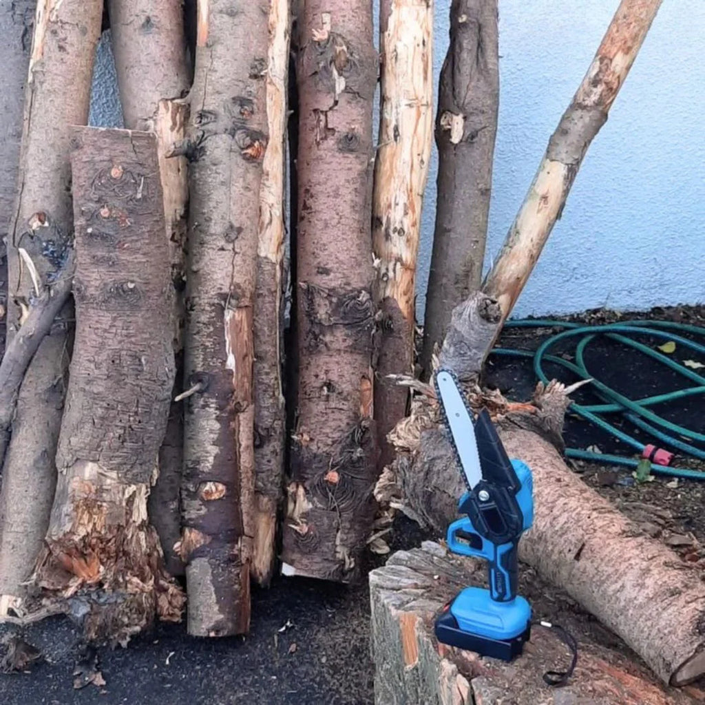 Drujbele electrică cu baterie dublă